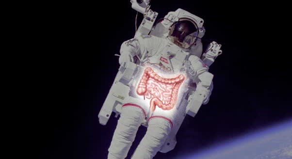 Artist's concept of an astronaut in space with the digestive system highlighted.