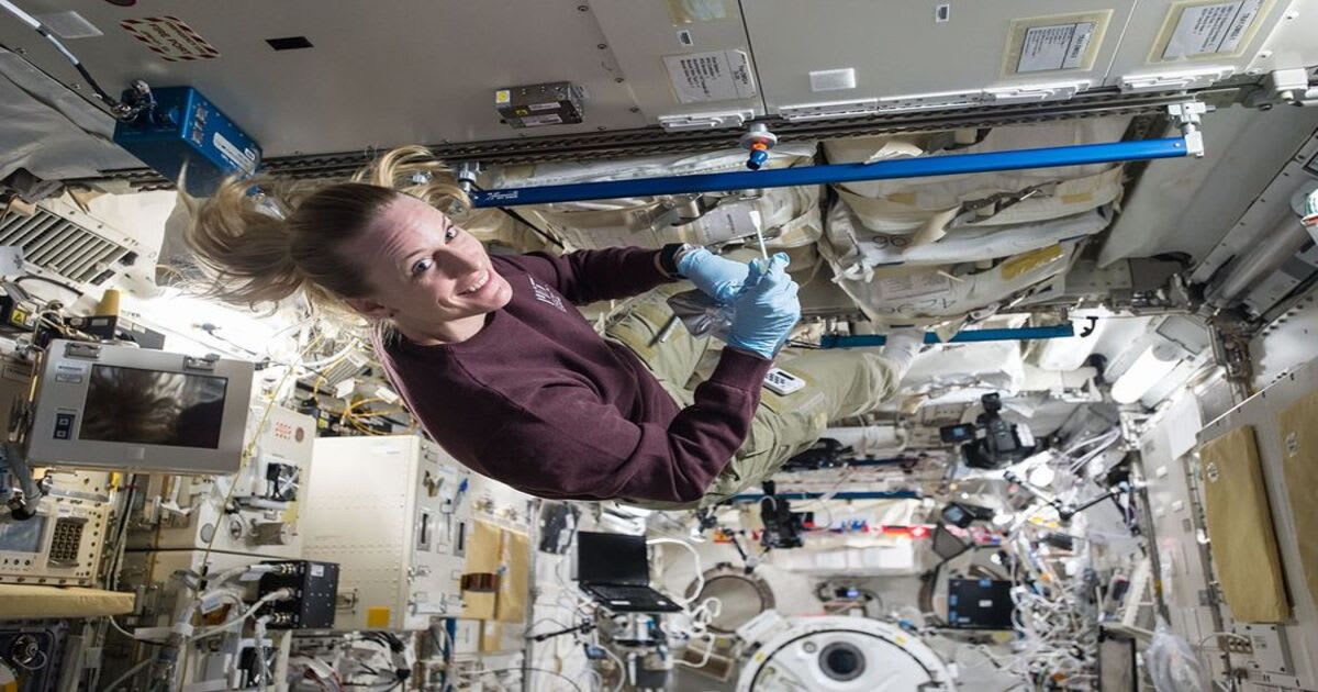 NASA astronaut Kate Rubins collects microbial samples aboard the International Space Station as part of the Microbe-IV investigation.