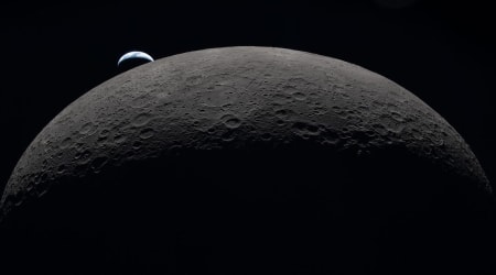 Microbes in the Moon’s shadow: NASA finds some organisms could survive at the lunar South Pole