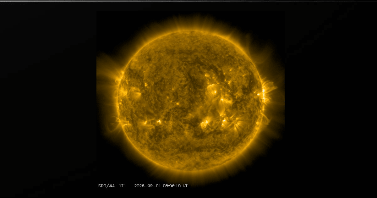 NASA’s Solar Dynamics Observatory captured this view of the Sun, showing bright active regions and intense solar activity across its surface. (Image Source: NASA/SDO)