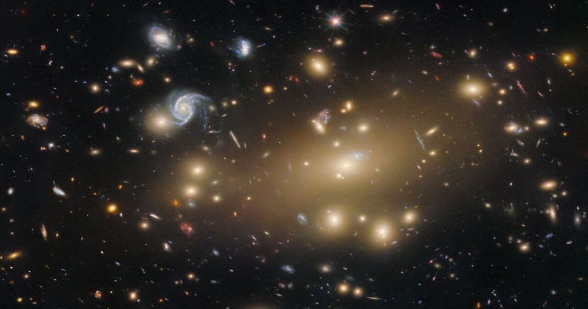 NASA’s Hubble Space Telescope captured this massive galaxy cluster, where the gravity of the cluster warps the light from distant galaxies.(Image Source: ESA/Hubble & NASA, M. Postman, P. Kelly)