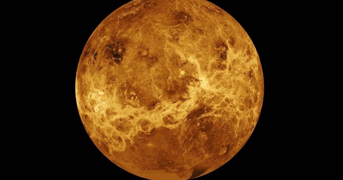 A radar mosaic image of Venus made from Magellan and Pioneer data. (Representative Image Source: NASA)