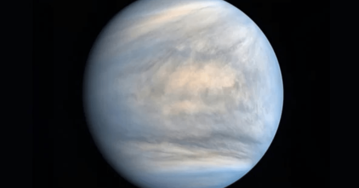 Photographed in ultraviolet light and rendered in false color, this view reveals the complexities of the clouds that coat Venus. (Image Source: JAXA/ISIS/DARTS/Damia Bouic)