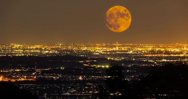 September Full Moon 2026: How and when to watch this year's Harvest Moon