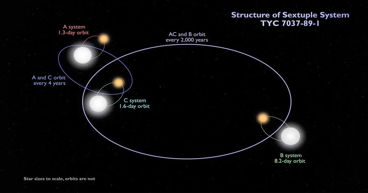 A schematic showing how multiple stars can be arranged in a system. The inner four stars form two binary pairs that orbit each other, while another binary pair orbits them from farther away. (Image Source: NASA’s Goddard Space Flight Center)