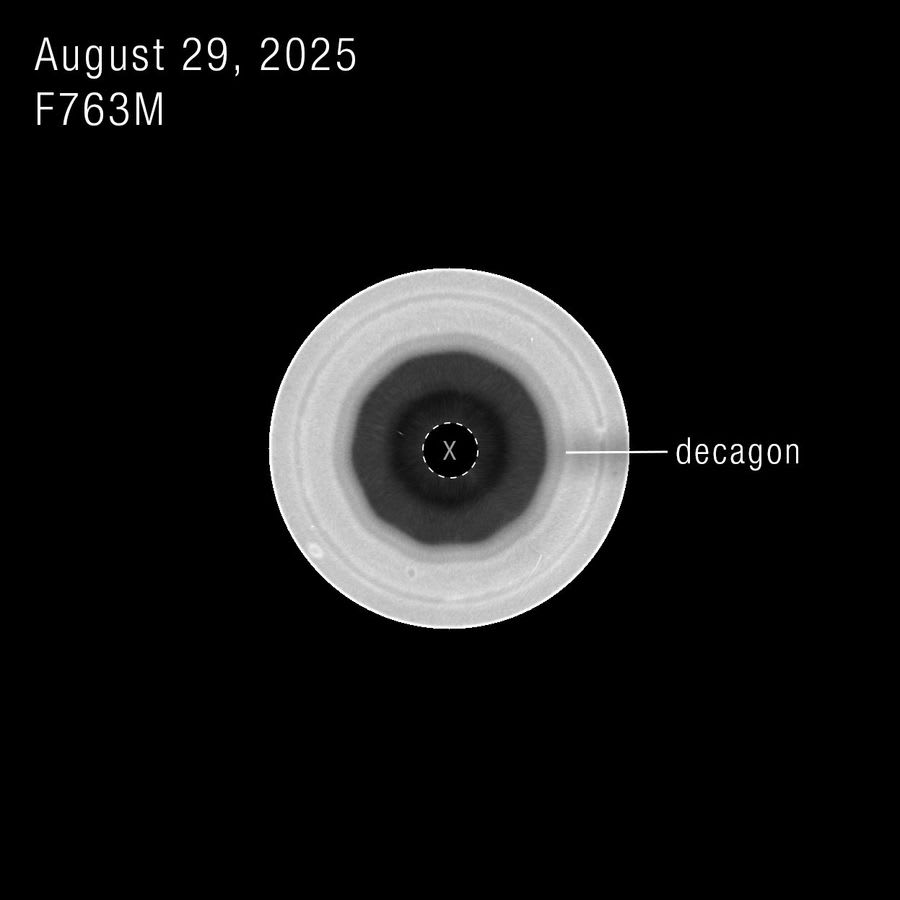 A single filter from NASA’s Hubble Space Telescope distinctly shows a 10-sided wave encircling Saturn’s south pole, labeled “decagon”. An “X” denotes where data was not captured.