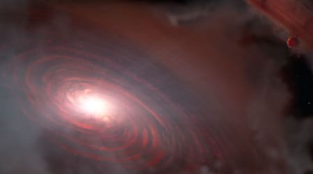 Did comets carry water to inner Solar System planets? Study of young star system offers clues