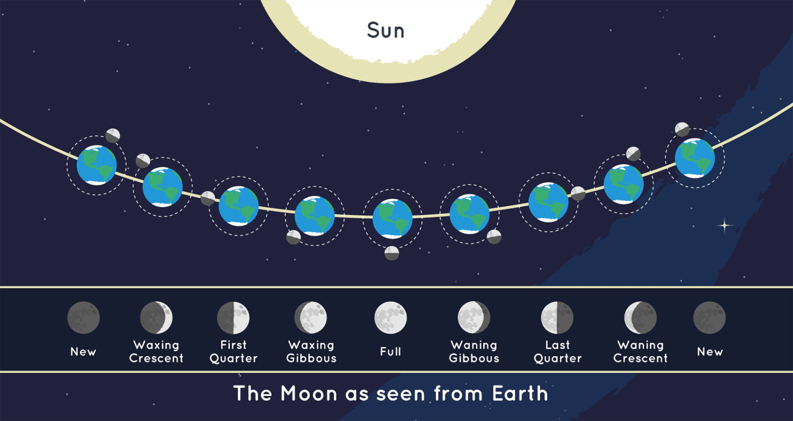 This graphic shows the position of the Moon and the Sun during each of the Moon’s phases and the Moon as it appears from Earth during each phase. The image is not to scale. (Image source: NASA/JPL-Caltech)