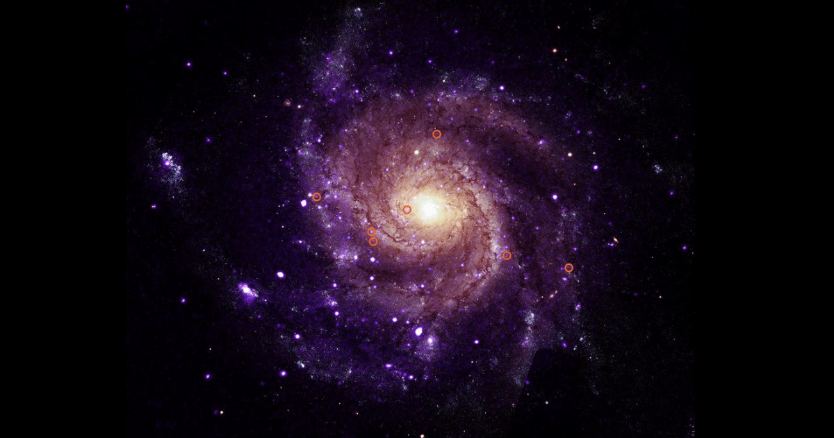 M101 with circles showing 7 of the newly-discovered objects. (Image Source: X-ray: NASA/CXC/Univ. of Alabama/M. Muhibullah et al.; Optical: NASA/ESA/STScI; Image Processing: NASA/CXC/SAO/N. Wolk)
