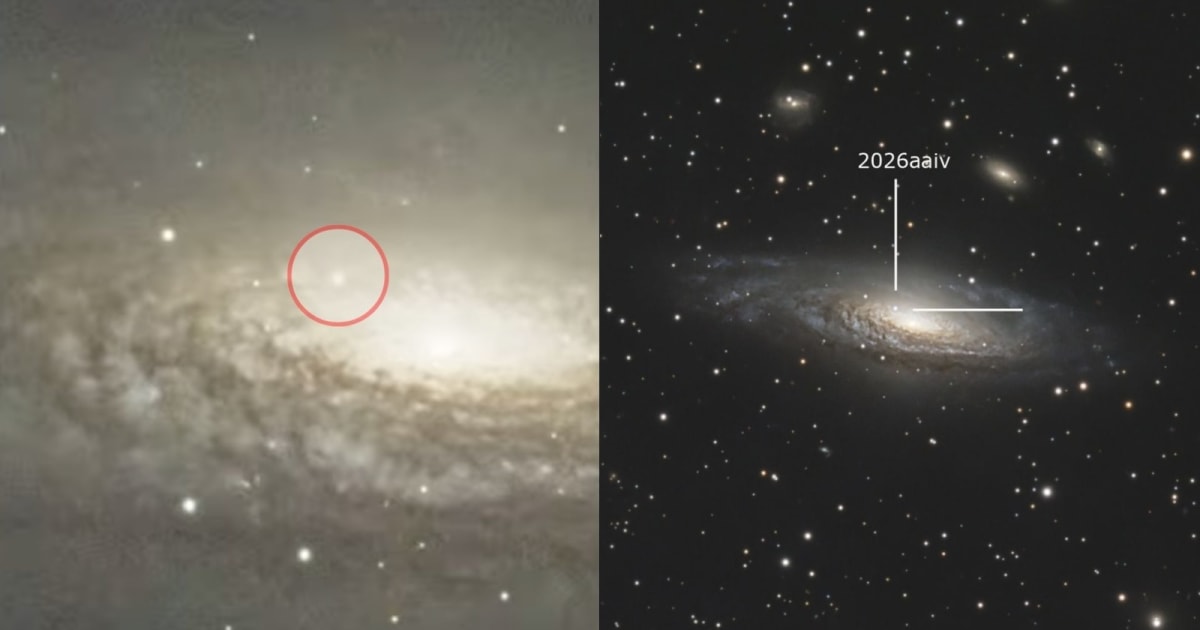 The Supernova SN2026aaiv circled in red captured near the galactic center of NGC 7331 by Andrew McCarthy (L); Supernova image in galaxy NGC 7331 captured by Steven Bellavia (R). — (Cover Image Source: Instagram@cosmic_background/Steven Bellavia)