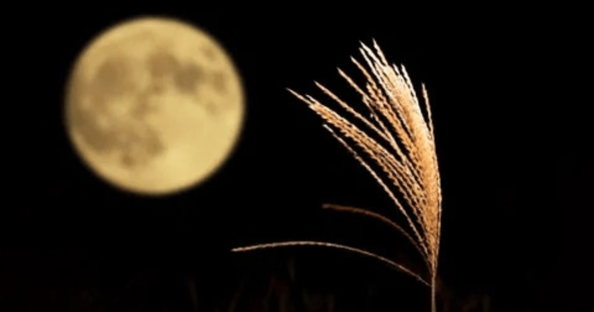 An image of the mid-Autumn Harvest Moon (Cover image source: Katsumi Murouchi/Getty Images; Resized by Starlust staff)