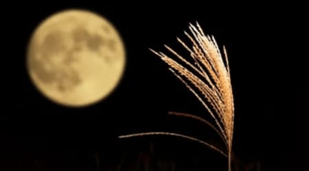 Moon phases 2026: When is the next Full Moon in September? Date and city-wise timings