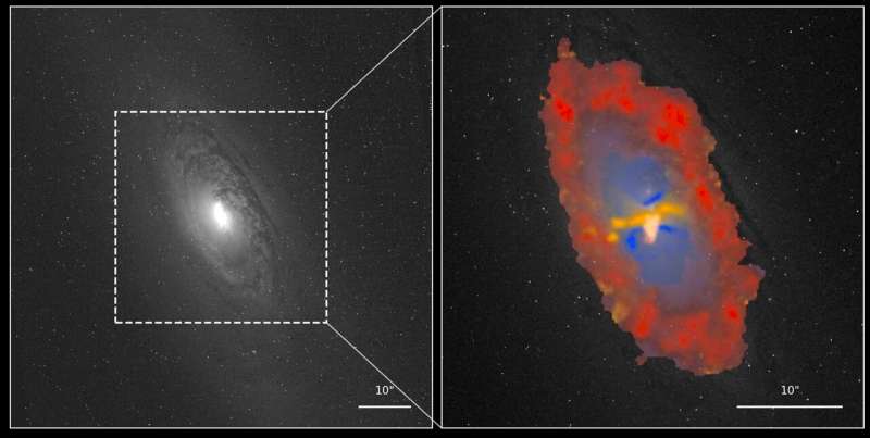The galaxy NGC1386, shown in grayscale on the left and zoomed in to the central region on the right. The colors represent star formation in red, black-hole radiation in blue, and shocks in yellow. Credit: Peixin Zhu