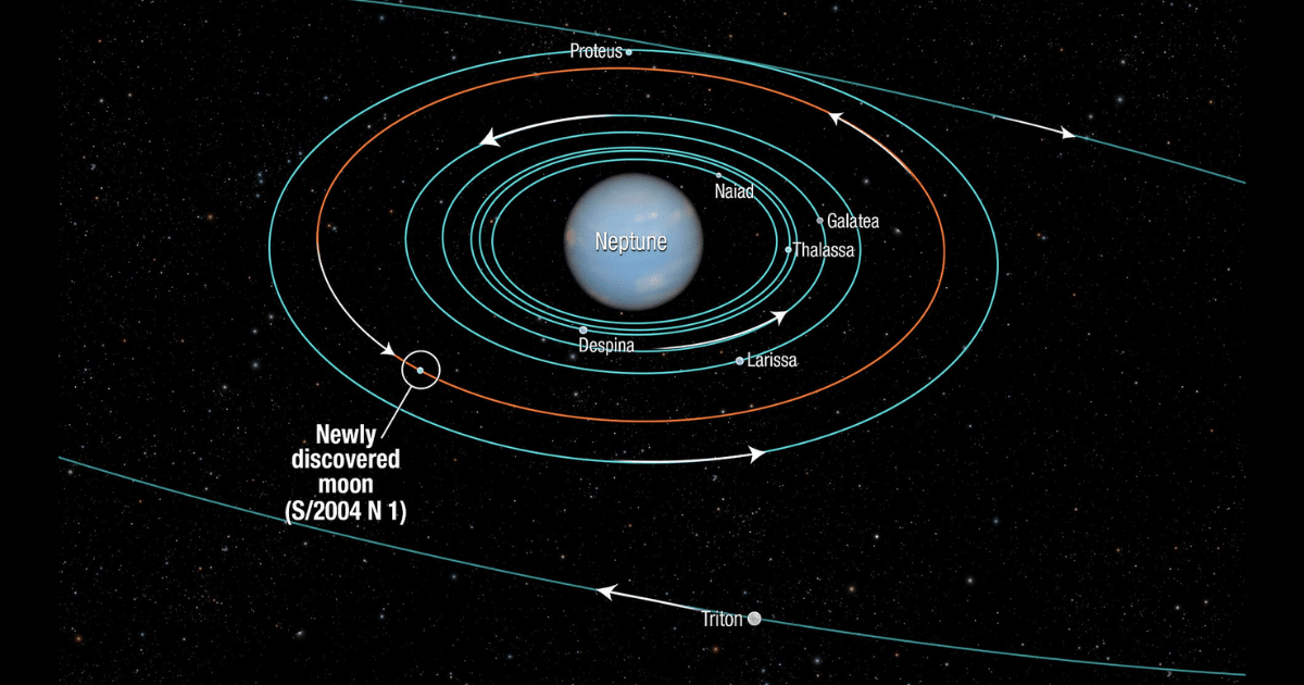 Diagram showing some of the moons of Neptune. (Representative Image Source: NASA | ESA | A. Feild (STScI))