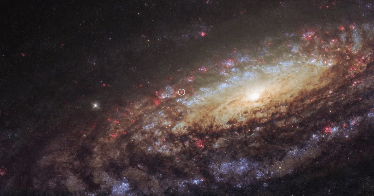 A picture showing Caldwell 30 with a white circle highlighting the location of supernova SN 2014C in it.