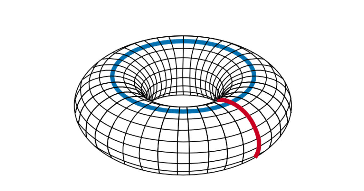 A torus, shown in red is the 'slice' observed. (Representative Image Source: Craig J. Copi, et al)