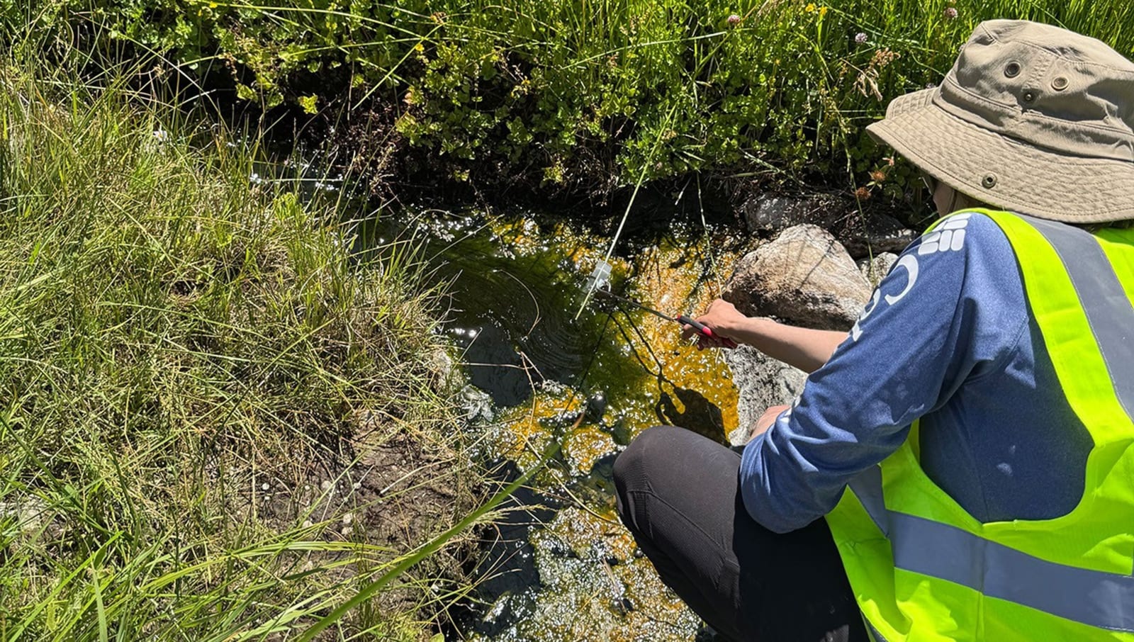 Lead author Beryl Rappaport collecting samples of Incendiamoeba cascadensis in California’s Lassen Volcanic National Park. (Image Source: Kristen Skruber | NASA)