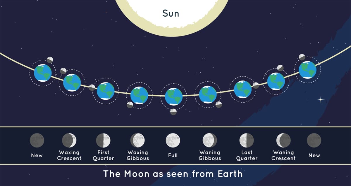 This graphic shows the position of the Moon and the Sun during each of the Moon’s phases and the Moon as it appears from Earth during each phase. Not to scale.
