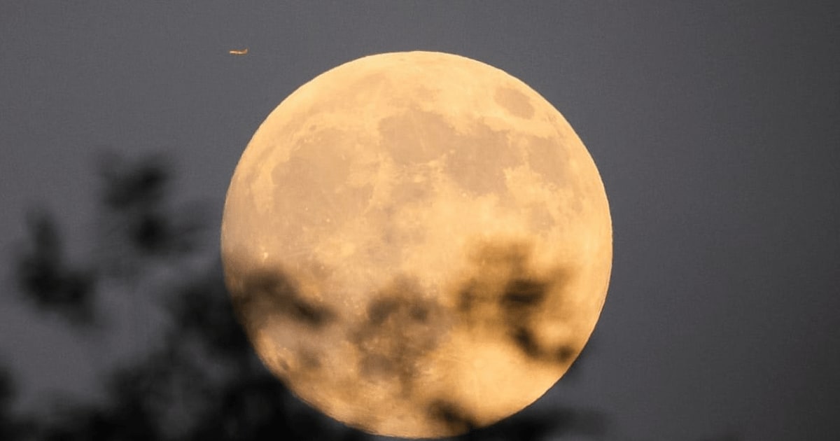 An airplane flies near the Full Moon as tree branches are seen in the foreground during the Mid-Autumn Festival on October 6, 2025, in Qianjiang, Hubei Province, China (Cover Image Source: Getty | Cheng Xin)