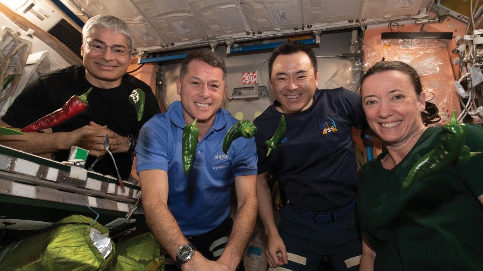 NASA astronauts Mark Vande Hei and Shane Kimbrough, JAXA astronaut Akihiko Hoshide, and NASA astronaut Megan McArthur with chile peppers grown for Plant Habitat-04 aboard the ISS.