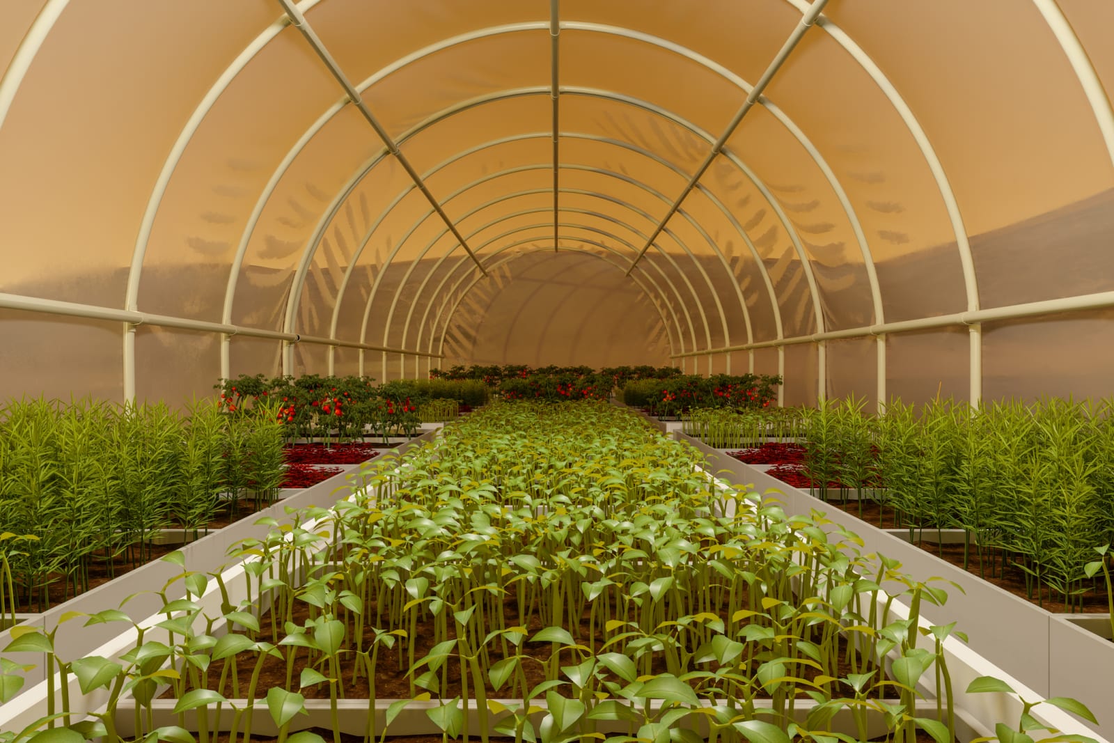 Artist’s concept of greenhouse agriculture on the surface of Mars.